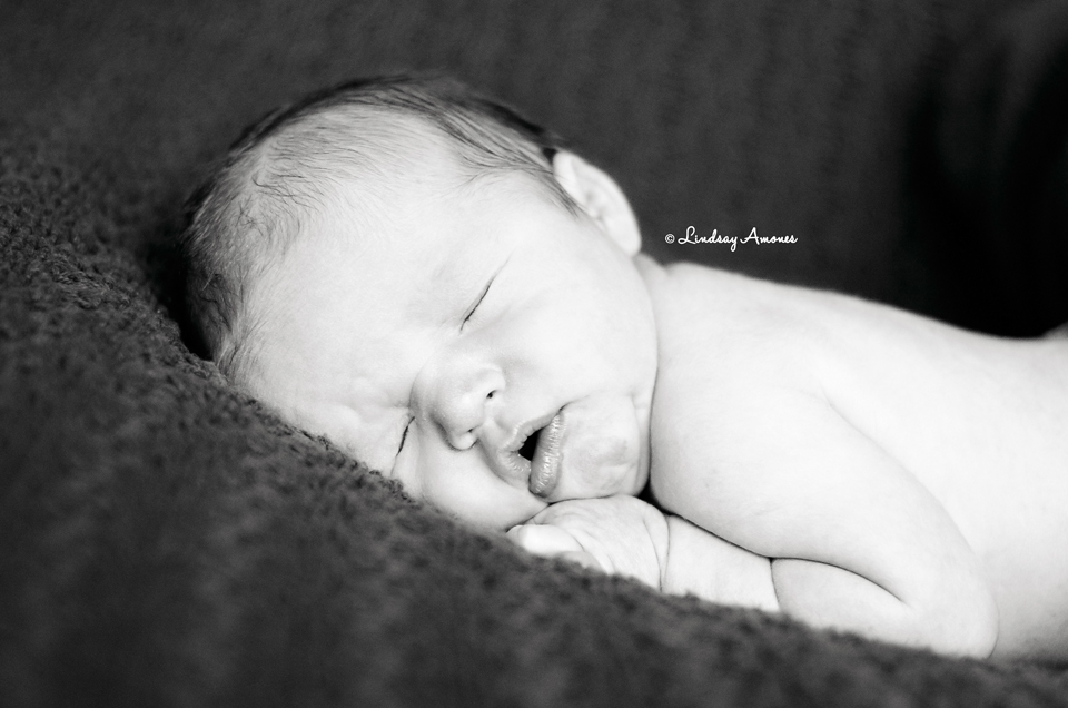 Indianapolis Newborn Photographer