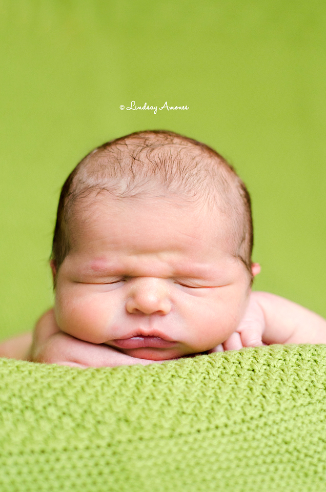 Indianapolis Newborn Photographer