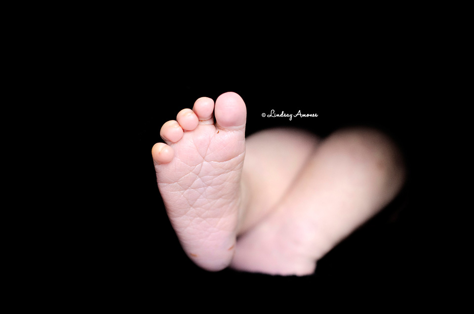 Indianapolis Newborn Photographer