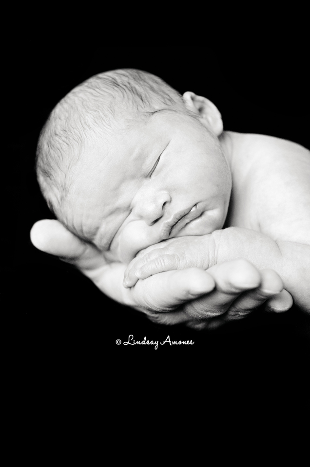 Indianapolis Newborn Photographer