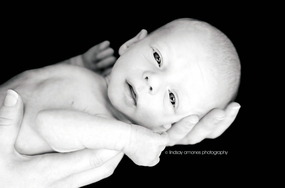 Indianapolis Newborn Photographer